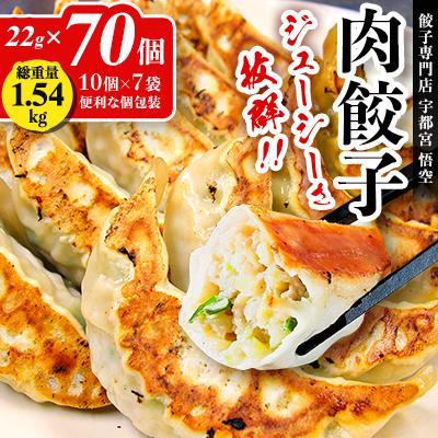 ふるさと納税 宇都宮市 [専門店 宇都宮悟空]肉餃子 22g×70個入