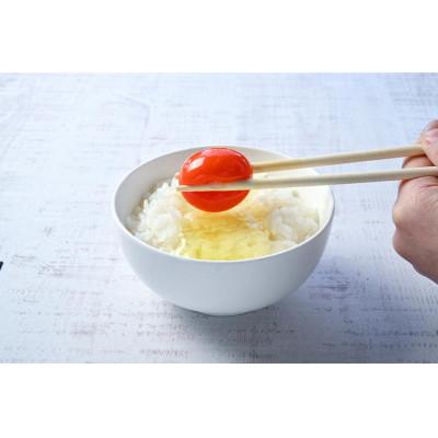 ふるさと納税 宇都宮市 輝翔卵 20個(10個入り×2箱)