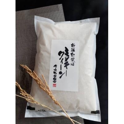 ふるさと納税 新発田市 【令和6年産】ミルキークイーン　精米(2kg×3袋) | 