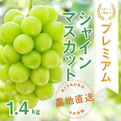 ふるさと納税 笛吹市 プレミアムシャインマスカット 2房1.4kg 大粒 笛吹市産 朝採り 贈答 北浦ファーム直送