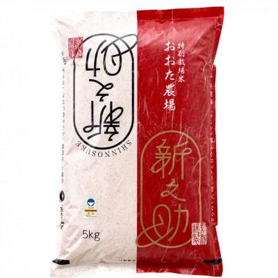 ふるさと納税 上越市 [令和7年産 2025年10月より順次発送]新潟県上越産 特別栽培米新之助[白米] 5kg×1袋