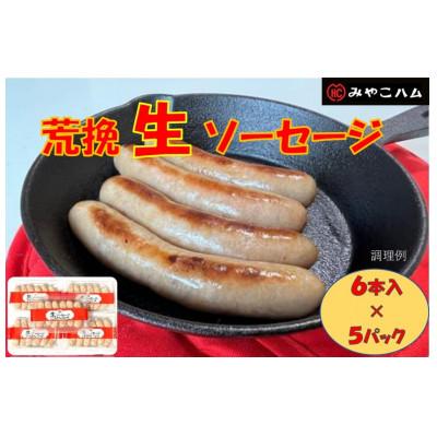 ふるさと納税 豊前市 荒挽生ソーセージ6本入×5パック[未加熱品]