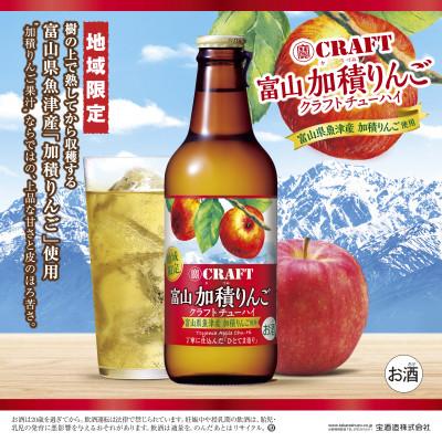 ふるさと納税 魚津市 地域限定タカラクラフトチューハイ &lt;富山 加積りんご&gt;330ml×12本