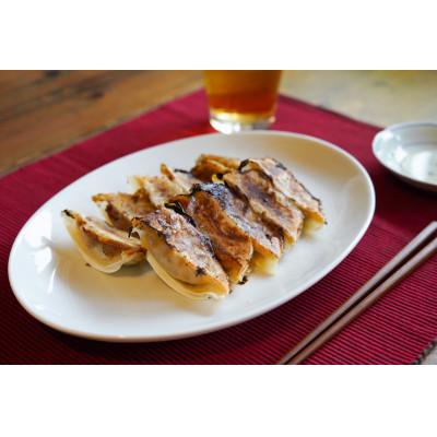 ふるさと納税 稲沢市 「尾張名物とり餃子」60個