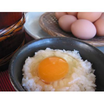 ふるさと納税 稲沢市 放し飼い自然卵「歩荷」40個入箱