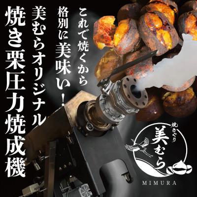 ふるさと納税 志木市 無添加和栗専門店「美むら」の和栗 焼き栗1kg |  | 02