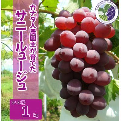 ふるさと納税 世羅町 [カナダ人農園主の真心を込めた]サニールージュ約1kg
