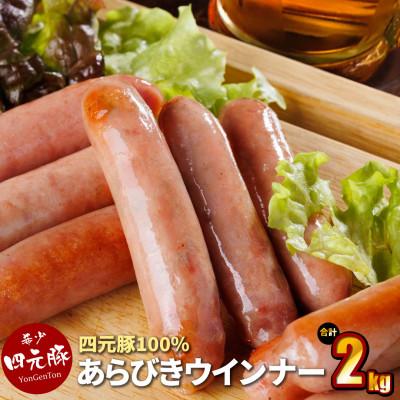 ふるさと納税 花巻市 GIFTON 岩手県産四元豚 あらびきウインナー 200g×10パック 合計2kg