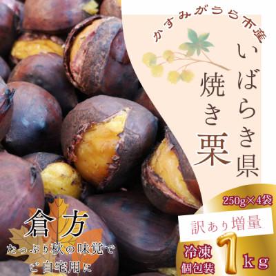 ふるさと納税 かすみがうら市 【訳あり増量】2026年度産 貴重品種『倉方』の焼き栗 250g×4セット(冷凍) | 