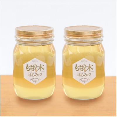 ふるさと納税 稲沢市 もちの木はちみつ 500g 2本セット