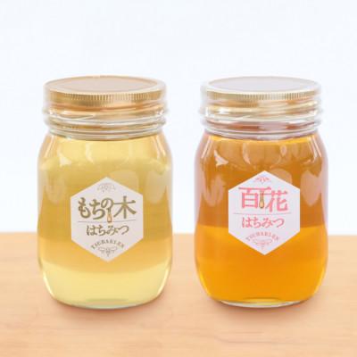 ふるさと納税 稲沢市 もちの木はちみつと百花はちみつ 500g 各1本セット