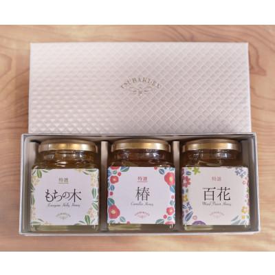ふるさと納税 稲沢市 [ギフト箱入り]稲沢で採れたはちみつ3種セット(椿・もちの木・百花・各200g入り)