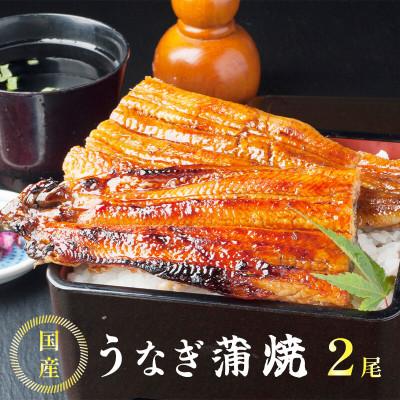 ふるさと納税 福知山市 国産うなぎの蒲焼 約200g×2尾(特製ダレ付)
