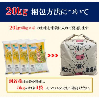 ふるさと納税 大網白里市 【令和7年産】【特A評価】千葉県産「コシヒカリ」精米 20kg(5kg×4袋)