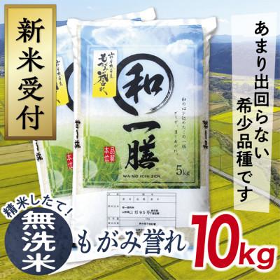 ふるさと納税 最上町 【令和8年産先行受付】山形県産もがみ誉れ10kg(無