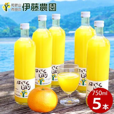 ふるさと納税 有田市 伊藤農園100%ピュアジュース はっさく大瓶(750ml×5本)