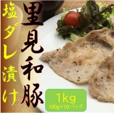 ふるさと納税 南房総市 里見和豚 焼き肉用ロース塩だれ漬け 1kg(小分け100g×10パック)