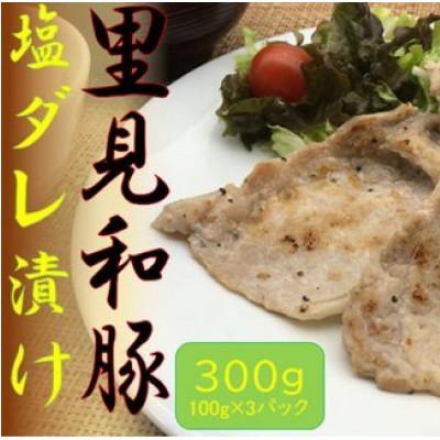 ふるさと納税 南房総市 里見和豚 焼き肉用ロース塩だれ漬け 300g(100g×3パック)