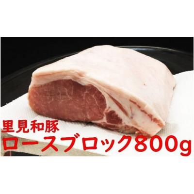 ふるさと納税 南房総市 里見和豚 とんかつ用ロースブロック800g×1パック 真空パック 白色トレイ不使用