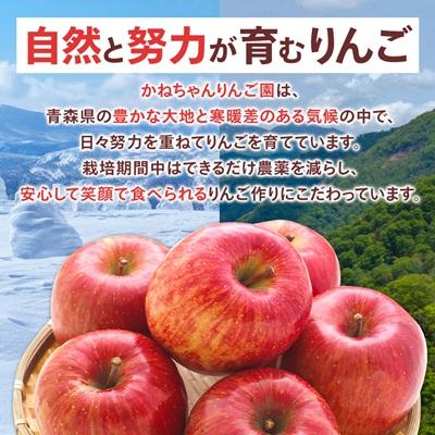 ふるさと納税 青森市 【訳あり】青森県産りんご「サンふじ家庭用」約5kg　産地直送! |  | 03