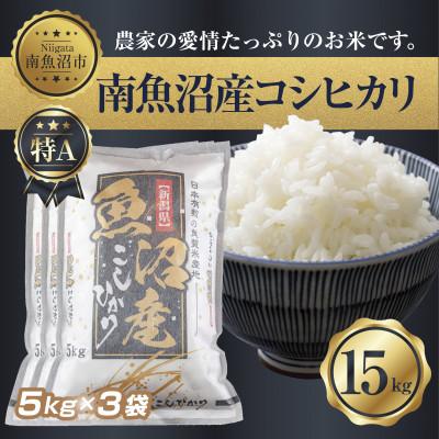 ふるさと納税 南魚沼市 【無洗米】南魚沼産 コシヒカリ 5kg×3 計 15kg