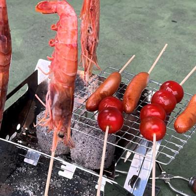 ふるさと納税 綾瀬市 馬場製作所のコンパクトコンロ・焚き火台(焚火台) |  | 02