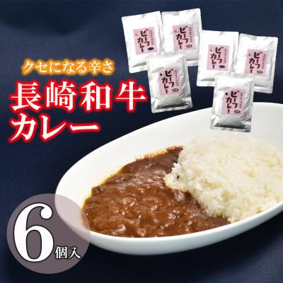 ふるさと納税 諫早市 クセになる辛さの「長崎和牛カレー」(6パック入り)