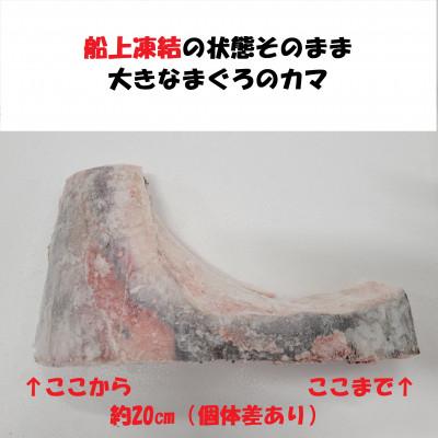 ふるさと納税 吉田町 業務用　大きいまぐろカマ　6kg |  | 03