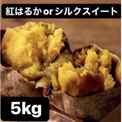 ふるさと納税 山鹿市 訳アリ 紅はるかorシルクスイート 蜜芋 5kg(山鹿市)