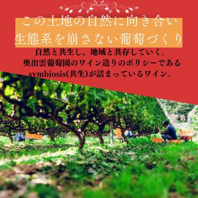 ふるさと納税 雲南市 杜のワイン赤 750ml×2本 辛口ワイン 赤ワイン2本