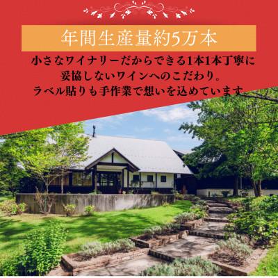 ふるさと納税 雲南市 杜のワイン赤 750ml×2本 辛口ワイン 赤ワイン2本