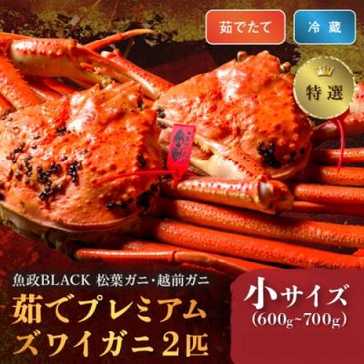 ふるさと納税 京丹後市 茹でたてプレミアムズワイガニ 魚政BLACK(松葉ガニ・越前ガニ)特撰 小サイズ2匹1月〜3月発送)