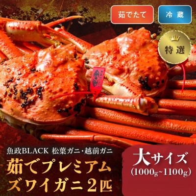 ふるさと納税 京丹後市 茹でたてプレミアムズワイガニ(松葉・越前)魚政BLACK 特選 大サイズ 2匹(11〜12月発送)