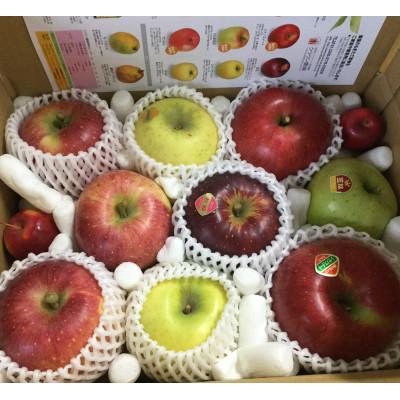 ふるさと納税 千曲市 [2026年発送]りんごの宝石箱 信州りんご 詰合せ 約3kg (8〜11玉)[品種おまかせ]