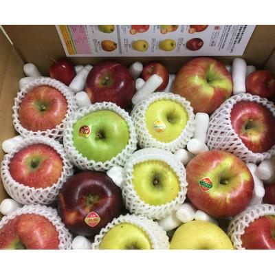 ふるさと納税 千曲市 [2026年発送]りんごの宝石箱 信州りんご 詰合せ 約5kg (10〜18玉) [品種おまかせ]
