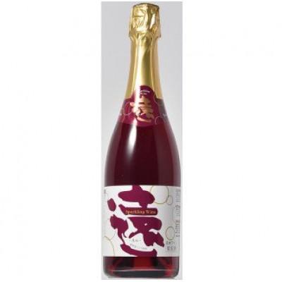 ふるさと納税 遠野市 スパークリングワイン遠 750ml×1本