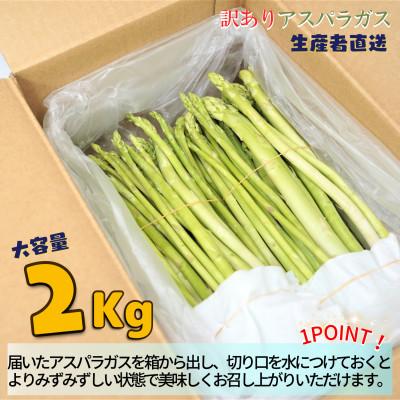 ふるさと納税 松浦市 [訳あり]ご家庭用に大活躍!僕とじいちゃんのアスパラガス2kg