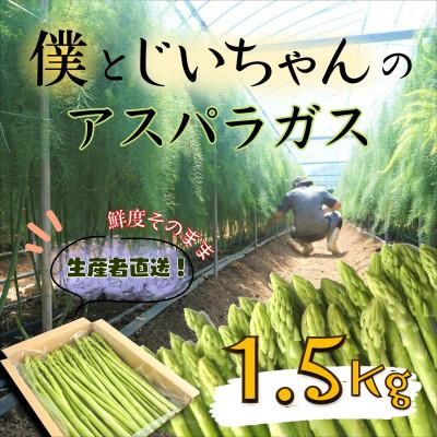 ふるさと納税 松浦市 僕とじいちゃんのアスパラガス1.5kg