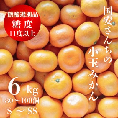ふるさと納税 八幡浜市 糖度11.0以上 国安さんちの厳選小玉みかん 6kg(3kg×2箱)[F20-29]