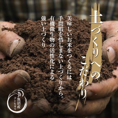 ふるさと納税 十日町市 【のし付き】無洗米  魚沼産 コシヒカリ 2kg 美味しい炊き方ガイド付 |  | 02