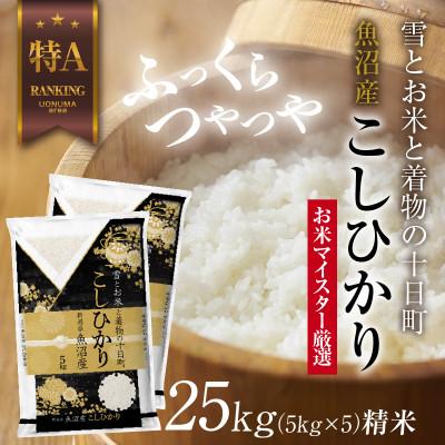 ふるさと納税 十日町市 魚沼産 コシヒカリ 25kg こしひかり 美味い炊き方ガイド付