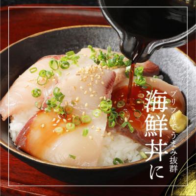 ふるさと納税 延岡市 まるごと一本!大和ブリ |  | 02