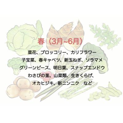 ふるさと納税 南伊豆町 湯の花の季節の野菜セット |  | 01