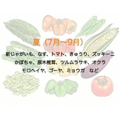ふるさと納税 南伊豆町 湯の花の季節の野菜セット |  | 02