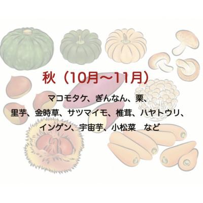 ふるさと納税 南伊豆町 湯の花の季節の野菜セット |  | 03