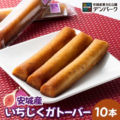 ふるさと納税 安城市 安城産業文化公園デンパークの「安城産いちじくガトーバー10本」