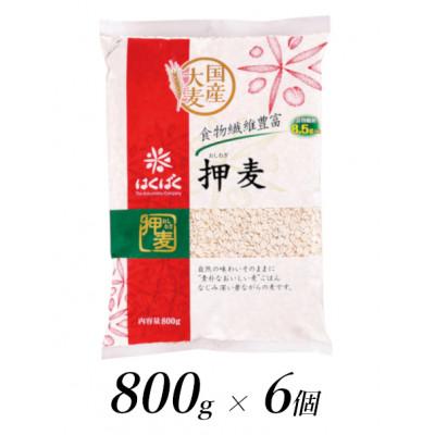 ふるさと納税 南アルプス市 はくばくの押麦 800g×6個