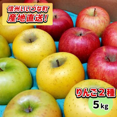 ふるさと納税 飯綱町 2種のりんごセット 5kg 品種おまかせ