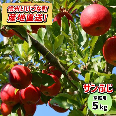ふるさと納税 飯綱町 [訳あり] りんご サンふじ 5kg