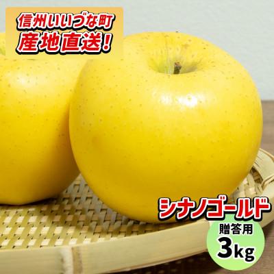 ふるさと納税 飯綱町 りんご シナノゴールド 11月下旬より順次発送 贈答用 3kg